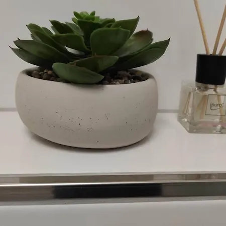 Zentrum Premium-apartment Daire Speyer